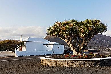 像素冒险《东京物语》宣布跳票 原计划年内发售