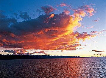 《怪物猎人：崛起》PC试玩版上架Steam 部分A卡出现问题